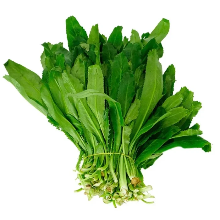 Ngò Gai ( Mùi Tàu )