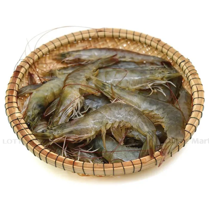 Tôm